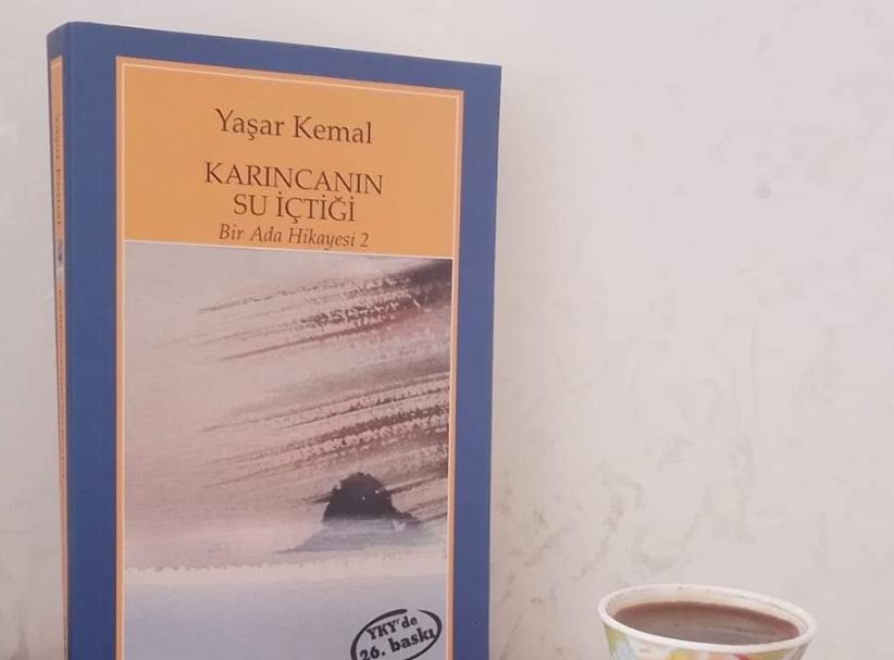 Bir Kitap: Karıncanın Su İçtiği / Yaşar Kemal 