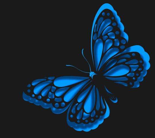 Mavi Kelebek 