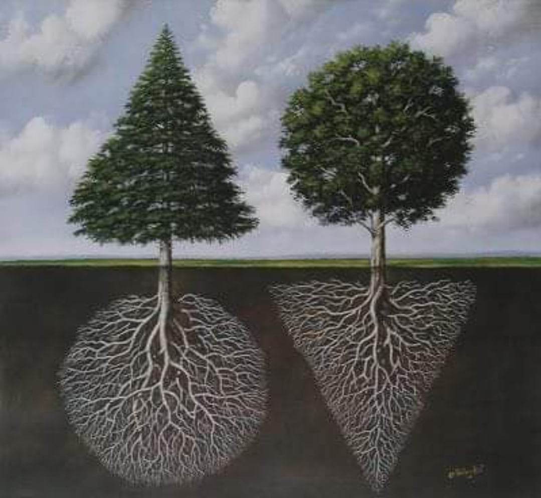 Kemikten Ağaçlara Umut / Yusuf Gökbakan 