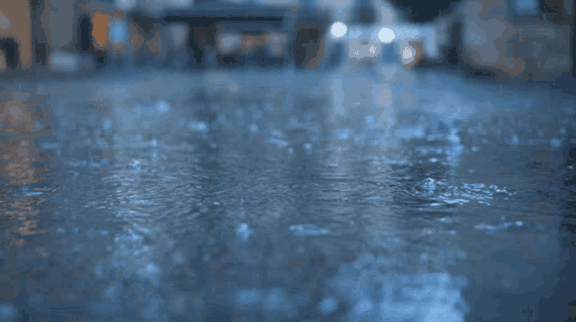 Yağmur / Fatma Karataş 