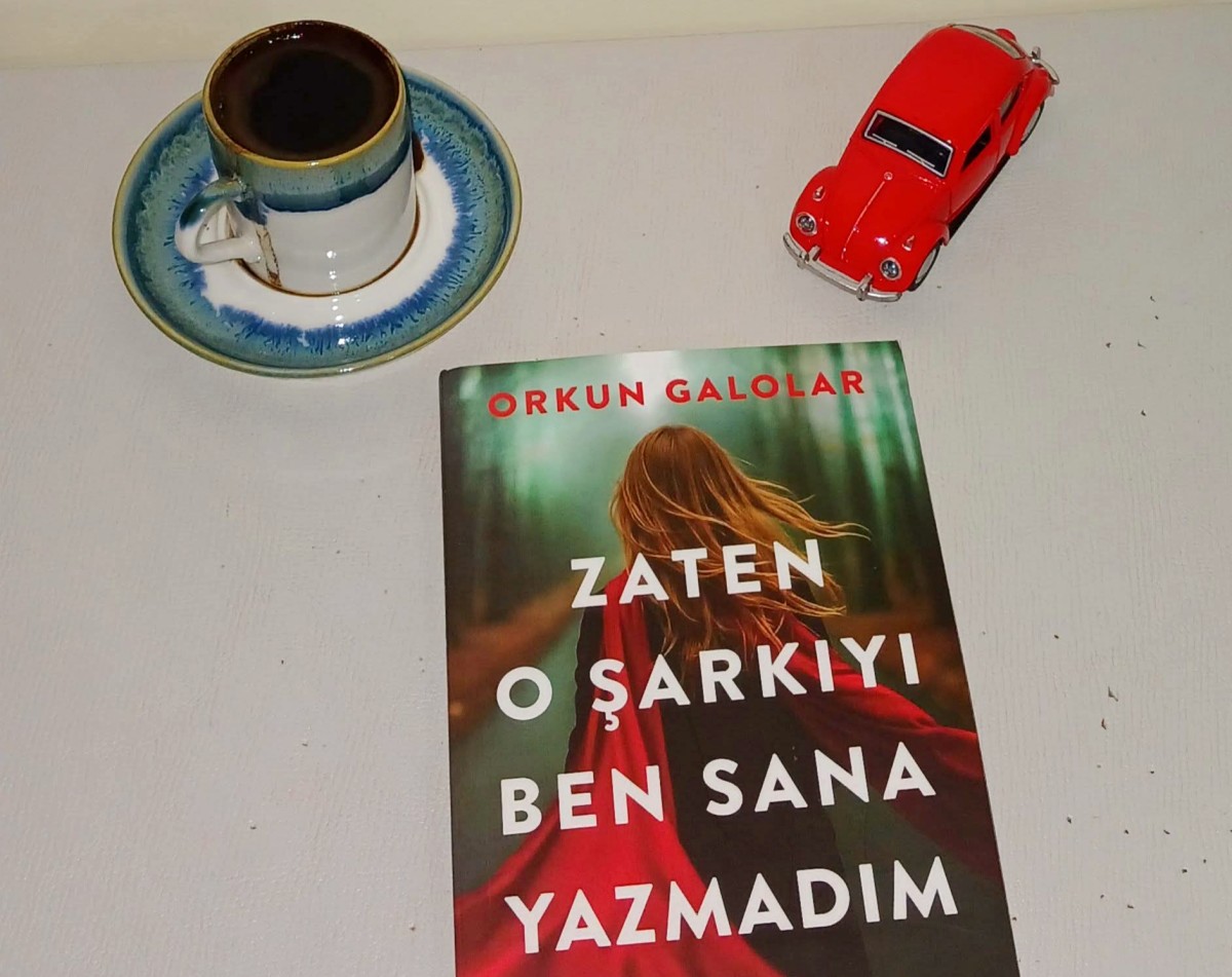 Bir Kitap: Zaten O Şarkıyı Ben Sana Yazmadım - Orkun Galolar / Alican Ger