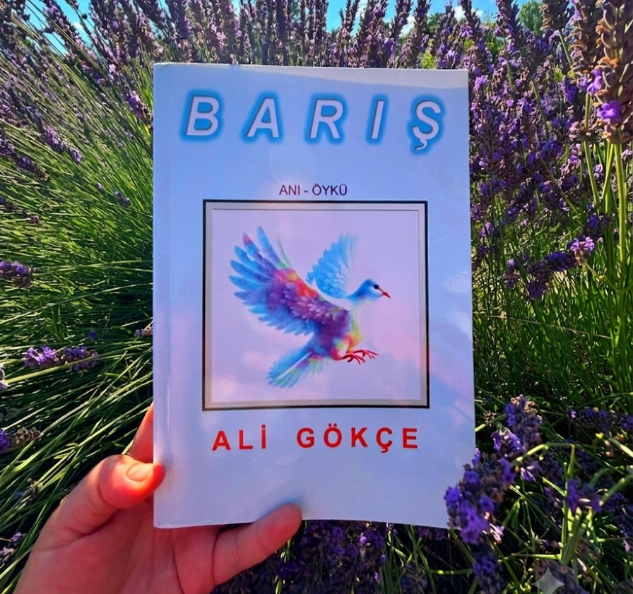 Bir Kitap: Barış - Ali Gökçe / Seher Uslu